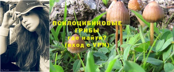 бошки Медногорск
