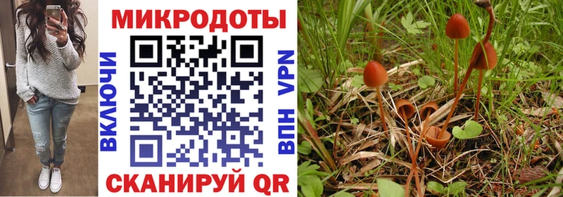 Псилоцибиновые грибы Psilocybe  наркотики  Димитровград 