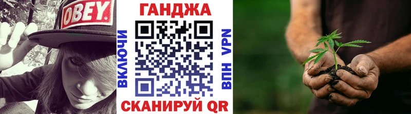 что такое   omg как зайти  Бошки Шишки план  Димитровград 